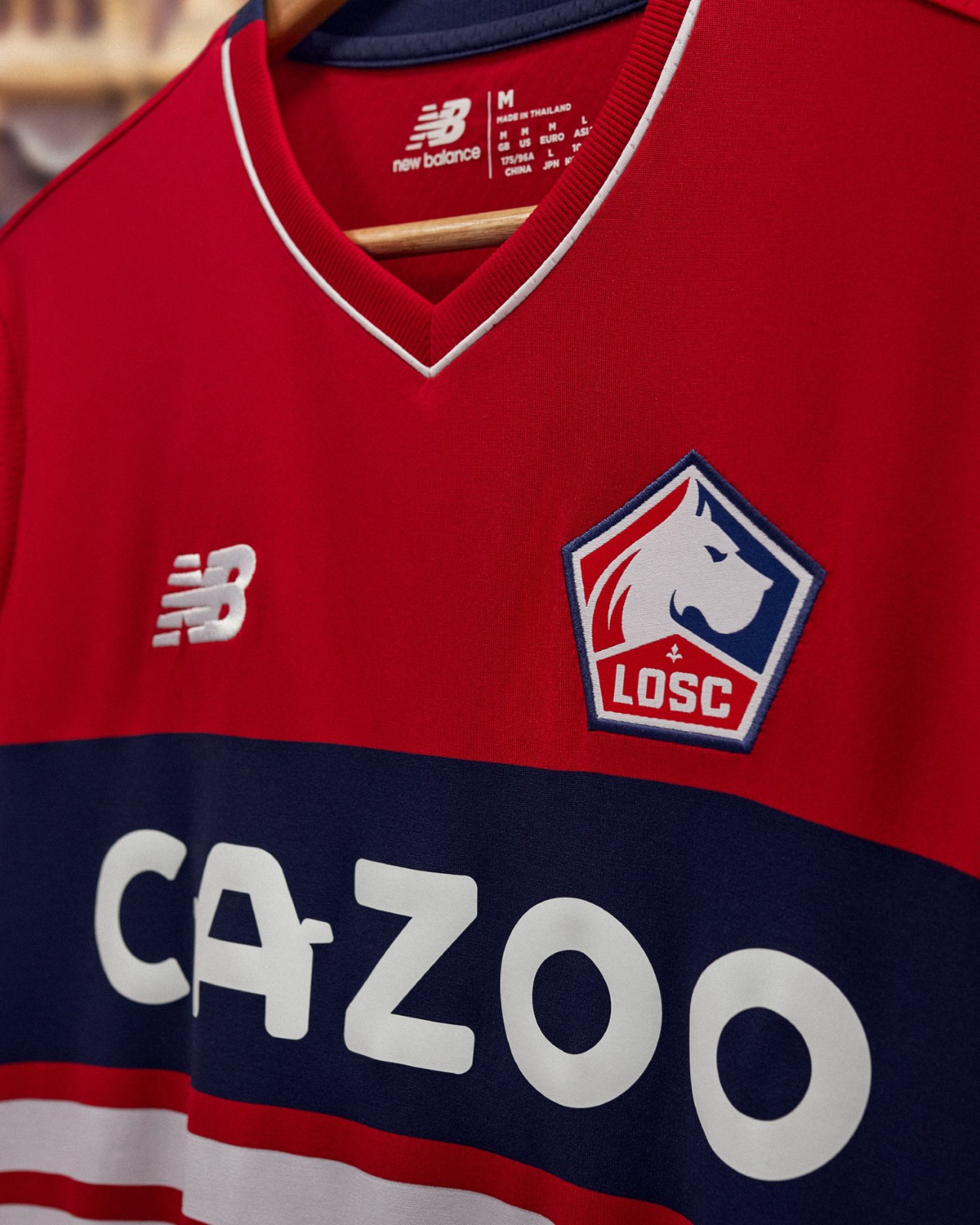 玻璃釉电阻器 IMG_0975